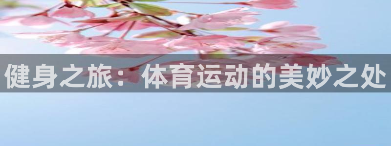 三亿体育网页版