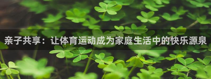 三亿体育网