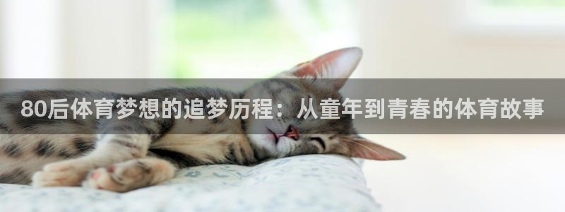 三亿体育