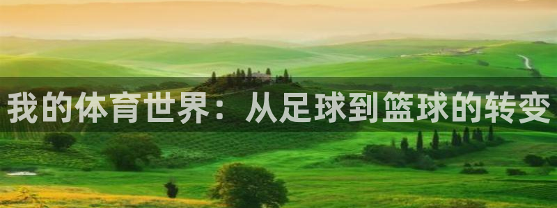 三亿体育网页版