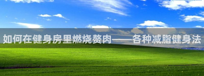 三亿体育登录：如何在健身房里燃烧赘肉——各种减脂健身法