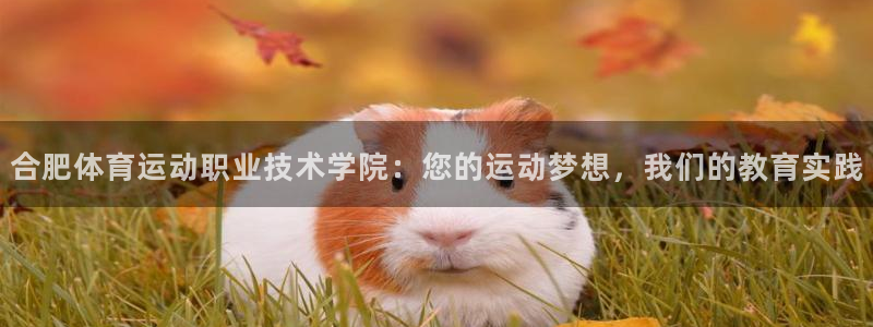 三亿体育网页版：合肥体育运动职业技术学院：您的运动梦想，我们的教育实践