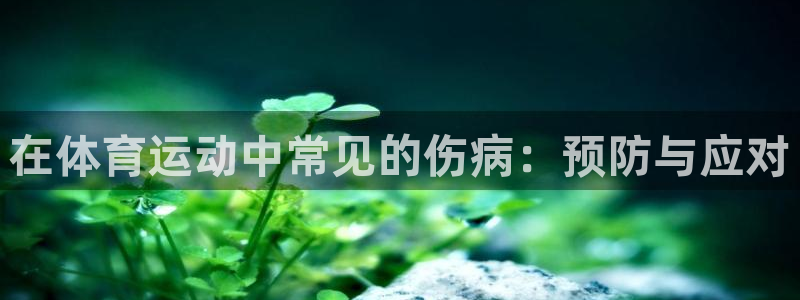 三亿体育：在体育运动中常见的伤病：预防与应对