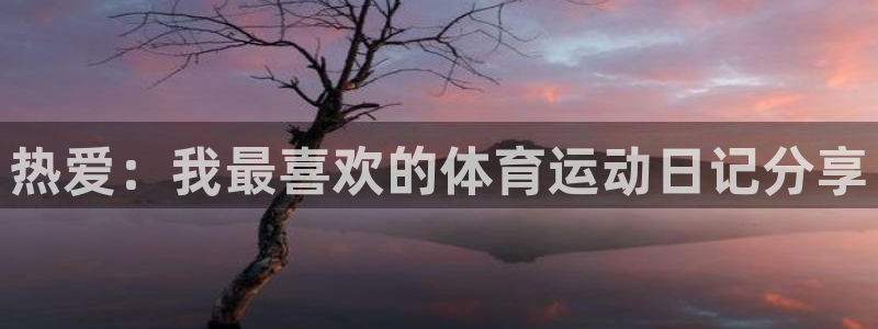 三亿体育网页版：热爱：我最喜欢的体育运动日记分享